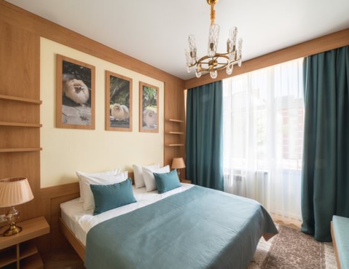 Стандарт - Санаторий «Дворец Нарзанов» Кисловодск