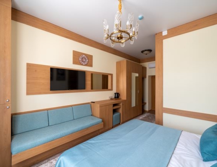 Стандарт - Санаторий «Дворец Нарзанов» Кисловодск