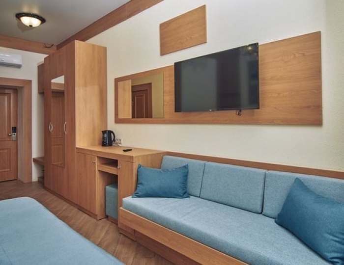 Стандарт - Санаторий «Дворец Нарзанов» Кисловодск