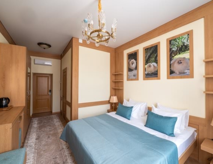 Стандарт - Санаторий «Дворец Нарзанов» Кисловодск