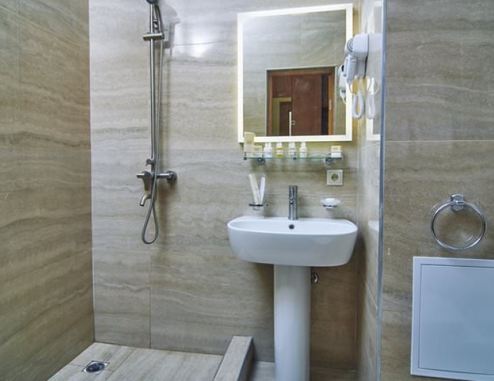 Стандарт - Санаторий «Дворец Нарзанов» Кисловодск