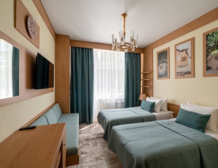 Комфорт - Санаторий «Дворец Нарзанов» Кисловодск