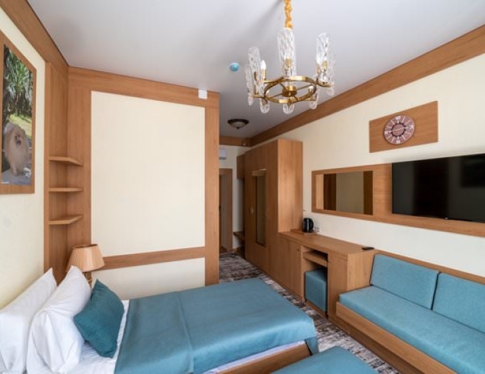 Комфорт - Санаторий «Дворец Нарзанов» Кисловодск