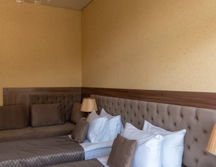 Люкс - Санаторий «Дворец Нарзанов» Кисловодск